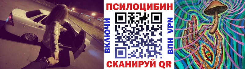 Купить где  Ельня  Псилоцибиновые грибы мицелий 